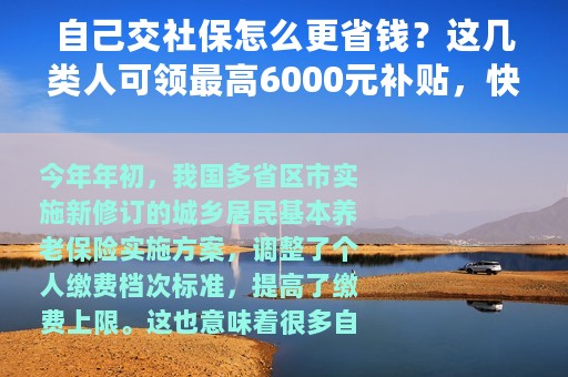 自己交社保怎么更省钱？这几类人可领最高6000元补贴，快看有你没