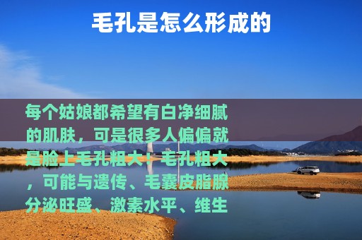 毛孔是怎么形成的