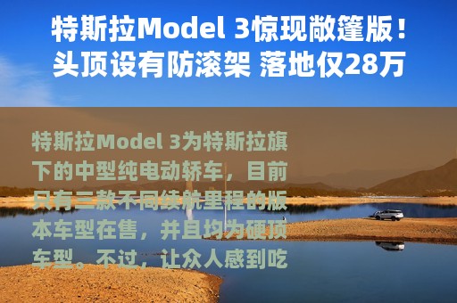 特斯拉Model 3惊现敞篷版！头顶设有防滚架 落地仅28万