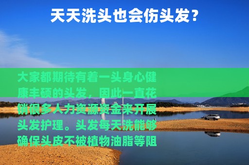 天天洗头也会伤头发？