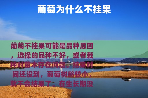 葡萄为什么不挂果