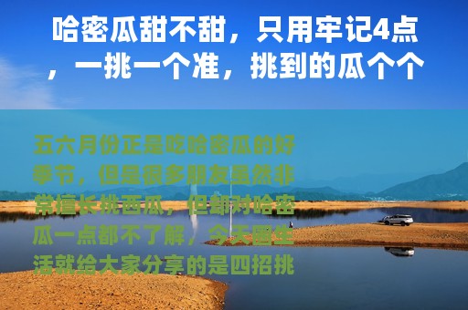 哈密瓜甜不甜，只用牢记4点，一挑一个准，挑到的瓜个个皮薄汁甜