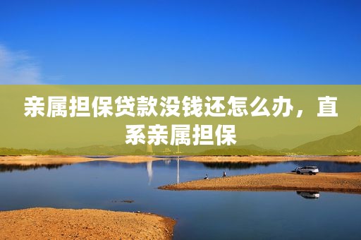 亲属担保贷款没钱还怎么办，直系亲属担保