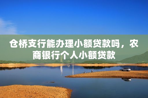 仓桥支行能办理小额贷款吗，农商银行个人小额贷款