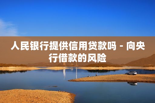 人民银行提供信用贷款吗 - 向央行借款的风险