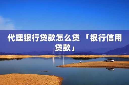 代理银行贷款怎么贷 「银行信用贷款」