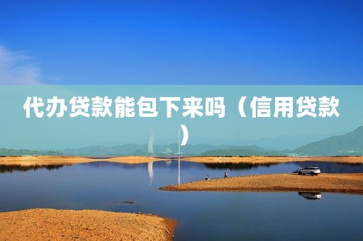 代办贷款能包下来吗（信用贷款）