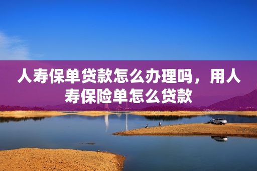 人寿保单贷款怎么办理吗，用人寿保险单怎么贷款