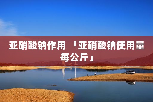 亚硝酸钠作用 「亚硝酸钠使用量每公斤」
