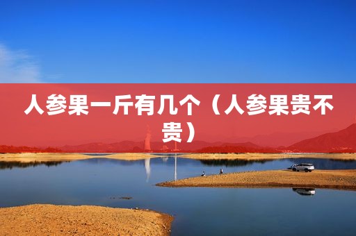 人参果一斤有几个（人参果贵不贵）