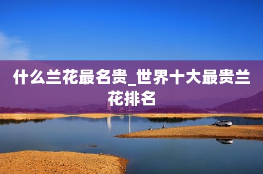 什么兰花最名贵_世界十大最贵兰花排名