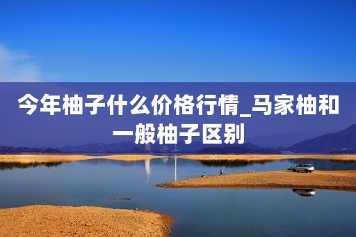 今年柚子什么价格行情_马家柚和一般柚子区别
