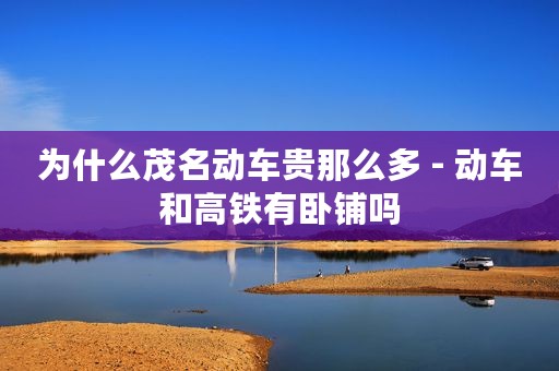 为什么茂名动车贵那么多 - 动车和高铁有卧铺吗