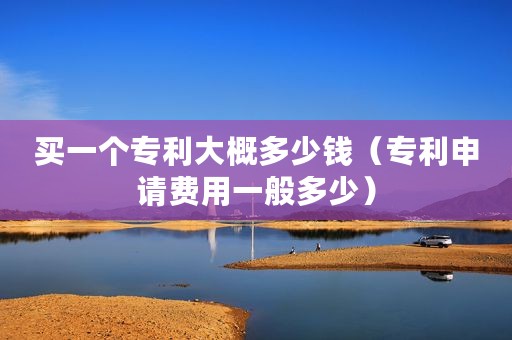 买一个专利大概多少钱（专利申请费用一般多少）