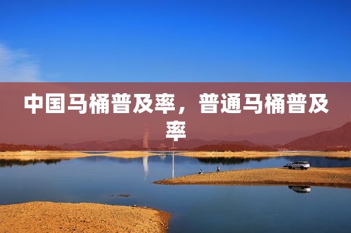 中国马桶普及率，普通马桶普及率