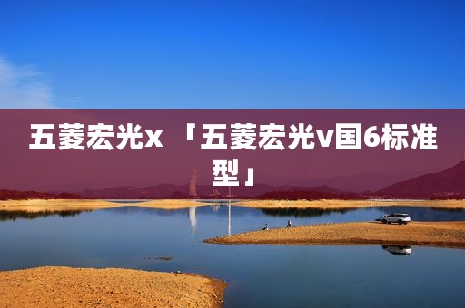 五菱宏光x 「五菱宏光v国6标准型」