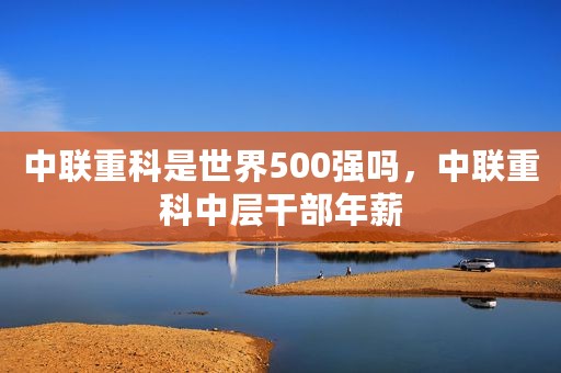 中联重科是世界500强吗，中联重科中层干部年薪
