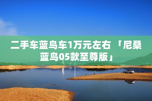二手车蓝鸟车1万元左右 「尼桑蓝鸟05款至尊版」