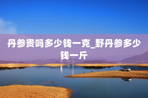 丹参贵吗多少钱一克_野丹参多少钱一斤