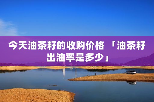 今天油茶籽的收购价格 「油茶籽出油率是多少」