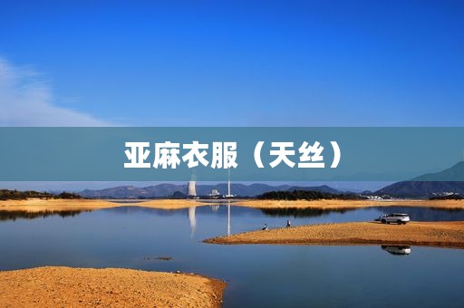 亚麻衣服（天丝）