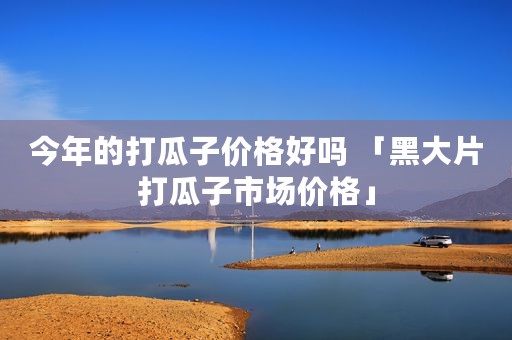 今年的打瓜子价格好吗 「黑大片打瓜子市场价格」