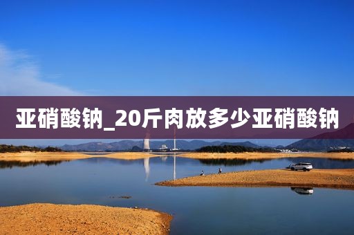 亚硝酸钠_20斤肉放多少亚硝酸钠