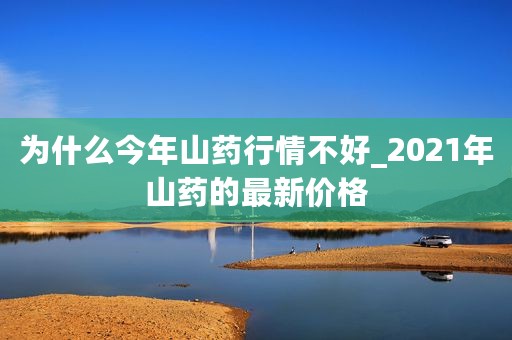 为什么今年山药行情不好_2021年山药的最新价格