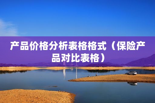 产品价格分析表格格式（保险产品对比表格）
