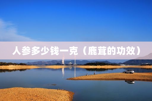 人参多少钱一克（鹿茸的功效）