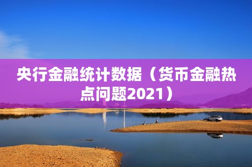 央行金融统计数据（货币金融热点问题2021）