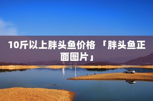10斤以上胖头鱼价格 「胖头鱼正面图片」