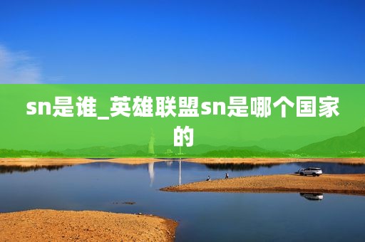 sn是谁_英雄联盟sn是哪个国家的