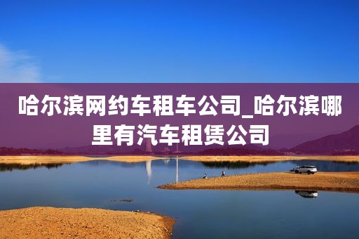 哈尔滨网约车租车公司_哈尔滨哪里有汽车租赁公司