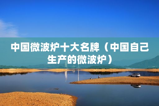 中国微波炉十大名牌（中国自己生产的微波炉）