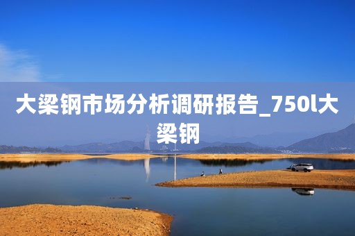 大梁钢市场分析调研报告_750l大梁钢