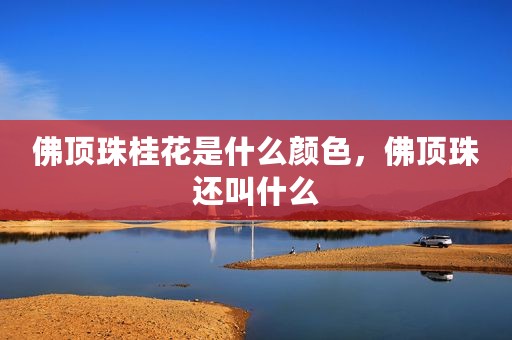 佛顶珠桂花是什么颜色，佛顶珠还叫什么
