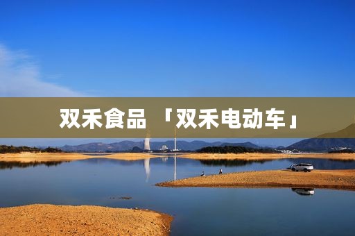 双禾食品 「双禾电动车」
