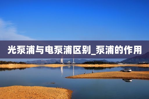 光泵浦与电泵浦区别_泵浦的作用