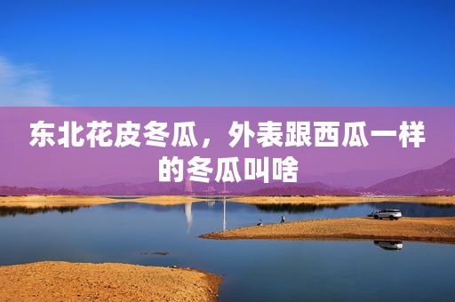 东北花皮冬瓜，外表跟西瓜一样的冬瓜叫啥