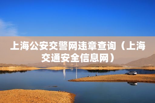 上海公安交警网违章查询（上海交通安全信息网）