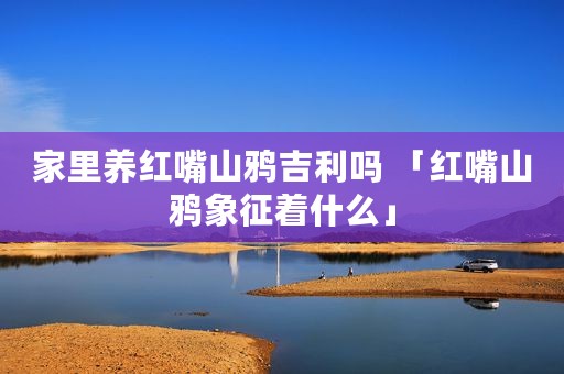 家里养红嘴山鸦吉利吗 「红嘴山鸦象征着什么」