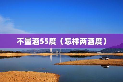 不量酒55度（怎样两酒度）
