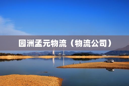 园洲孟元物流（物流公司）