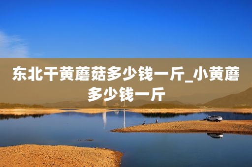 东北干黄蘑菇多少钱一斤_小黄蘑多少钱一斤