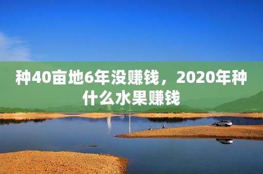 种40亩地6年没赚钱,2020年种什么水果赚钱 种40亩地6年没赚钱,2020年种什么水果赚钱