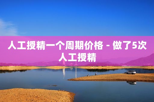 人工授精一个周期价格 - 做了5次人工授精