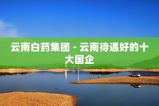 云南白药集团 - 云南待遇好的十大国企