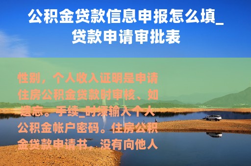 公积金贷款信息申报怎么填_贷款申请审批表