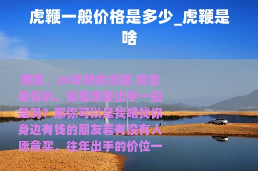 虎鞭一般价格是多少_虎鞭是啥